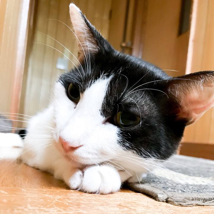 833a73ed 1fd7 4d4f 8821 8f4a8fb11984 1534559584340