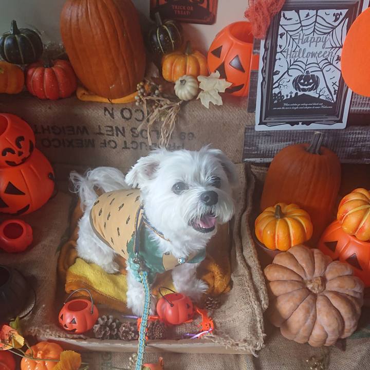 833a76d6 7821 4e26 abf8 171ad31979c2 1666415406338