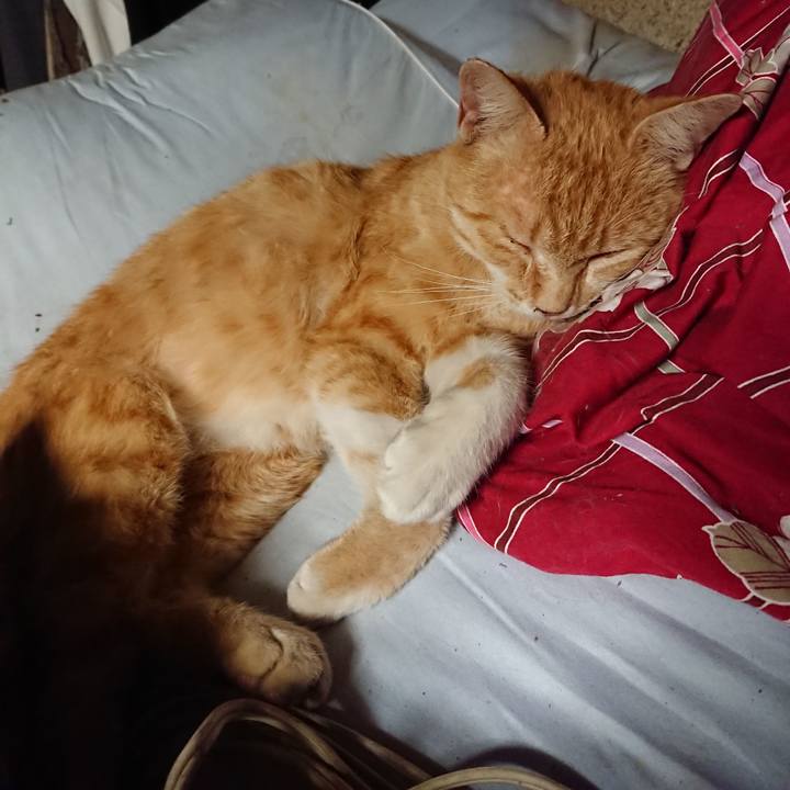 833a770d 34c7 4b42 b037 b8bee5ec3f84 1558613133239