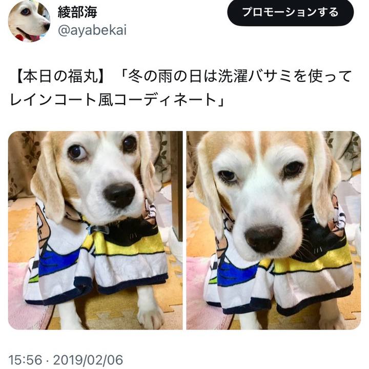 833a8dab fbe2 4cee 95a2 603f53762146 1738800097211