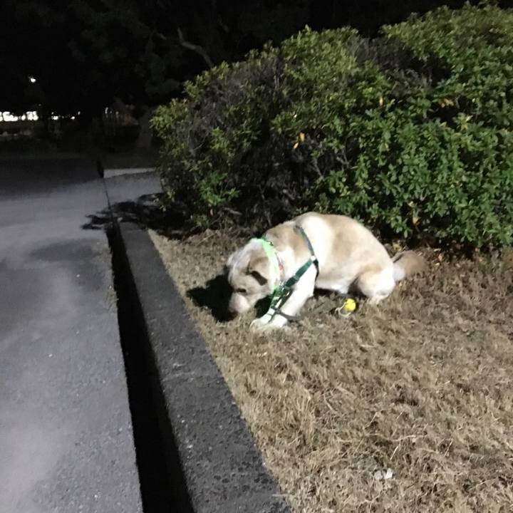 833ad998 2e69 4744 b69b 0ccc9c27ba95 1516876929189