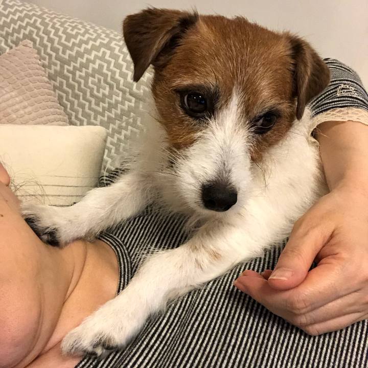 833af22b f969 4c27 88b5 cd8e0b5c8892 1621164801482