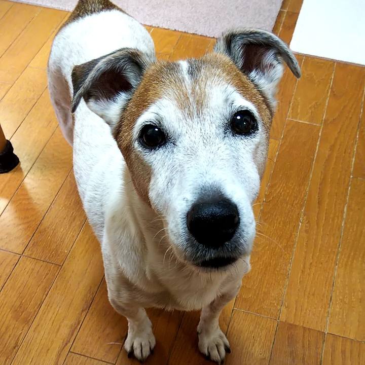 833b6a99 90ca 4340 a509 ecd8875179c0 1550964799483