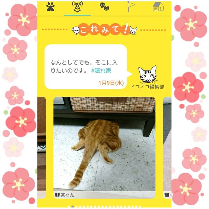 833b73e9 6e53 4ab1 8756 d611ac0835c2 1547010502340