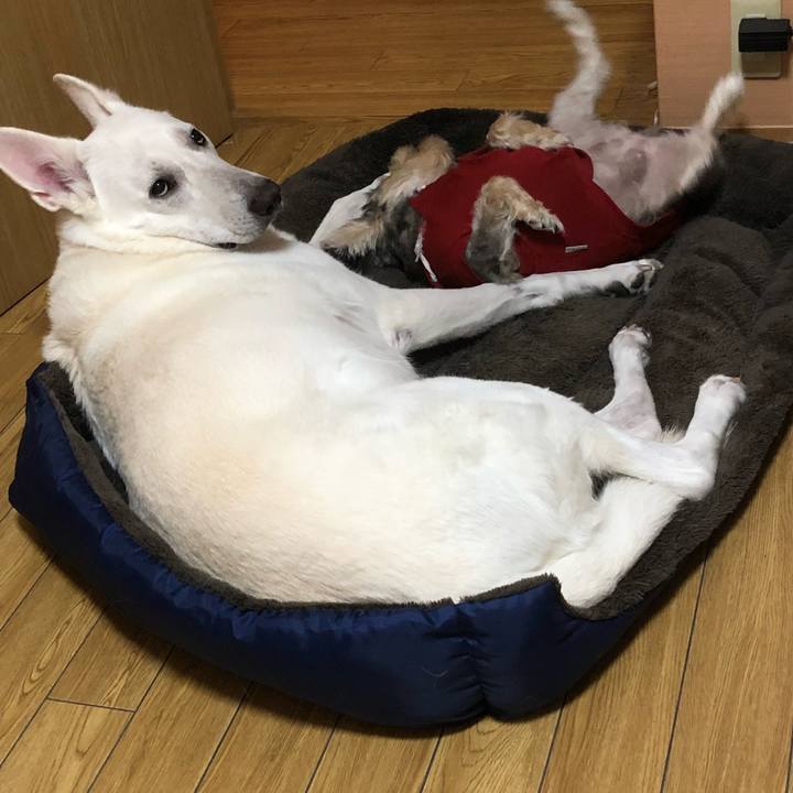 833b8a96 7025 40af 89d0 da16ca6ead44 1550629556510