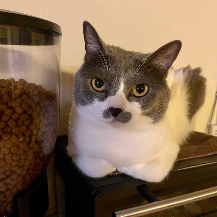 833bcbb0 929a 4f6e 8c6f 7dd5857c350b 1660218490858