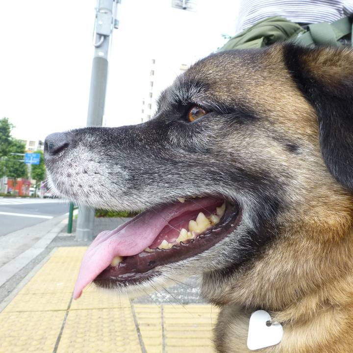 833bd551 1e02 4326 bcb4 f5db896c834f 1578876550689