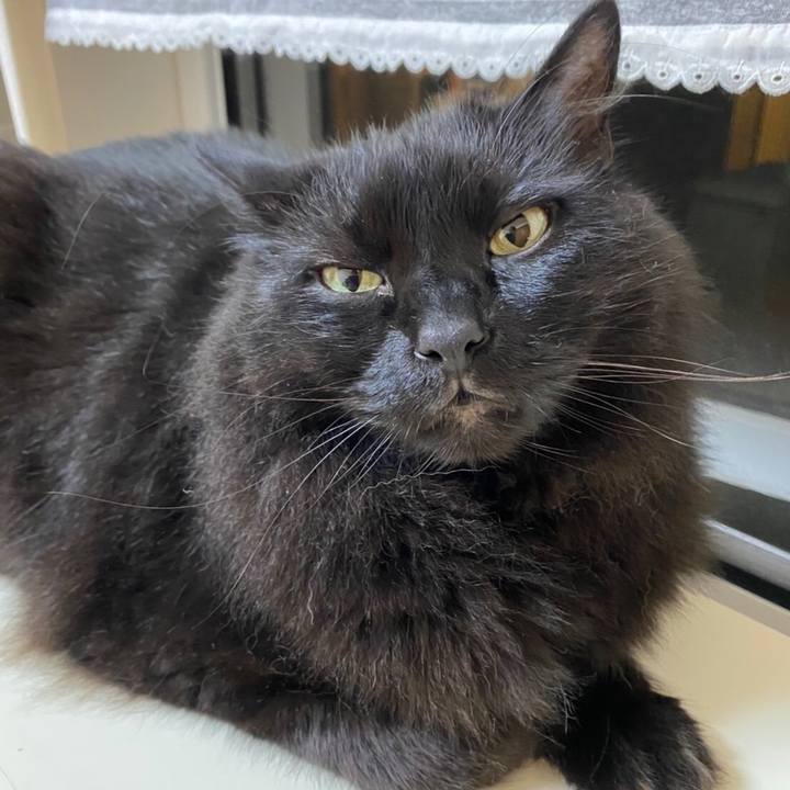 833bd683 1eff 42e6 95e1 98b546026eef 1597400162661