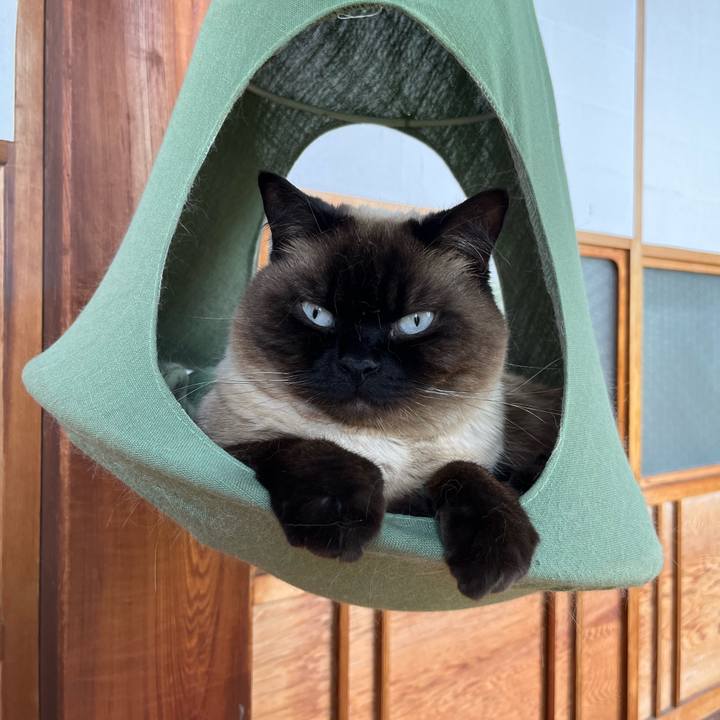 833bed01 4cb6 4408 a6bc db595b606142 1685012622569