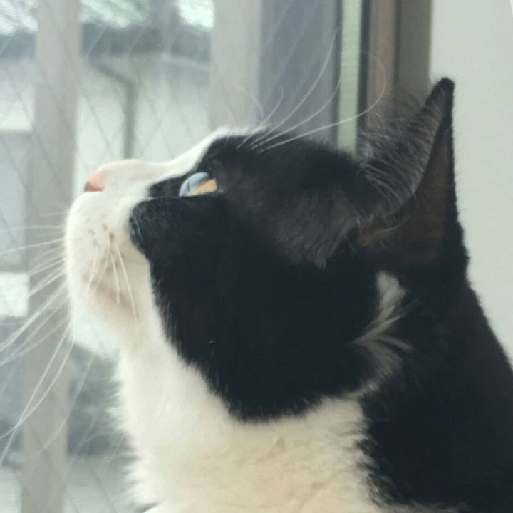 833bf3e3 9654 4766 997f 779824108621 1515249391429