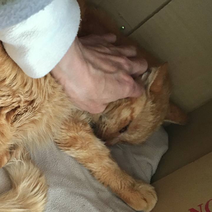 833c02ee c05b 4060 bcc1 b9e11c77768e 1608722986302