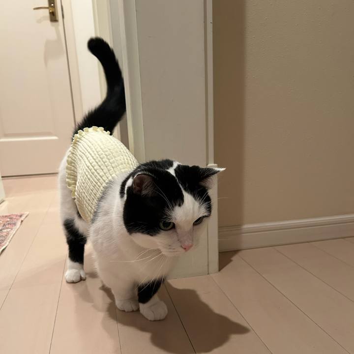 833c29db 7bcd 4208 829b 8ead44f4568d 1765321722465