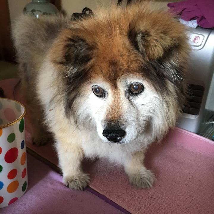 833c356d 142a 4ab0 9d60 426f2cb5dccb 1590562992011