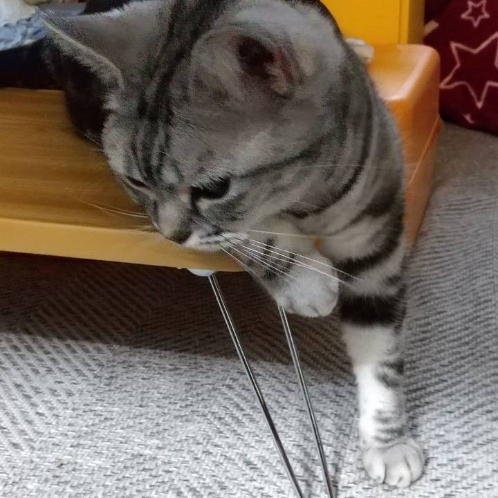 833c71c3 0d15 4212 8f09 8788f3573abe 1686353831827