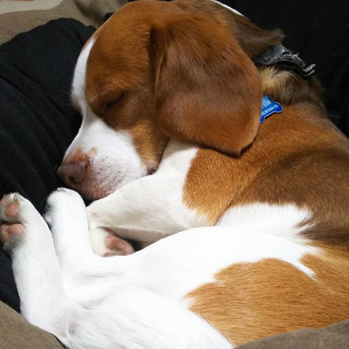 833c7d91 1fd9 4672 9532 b66dbf399552 1586445156130