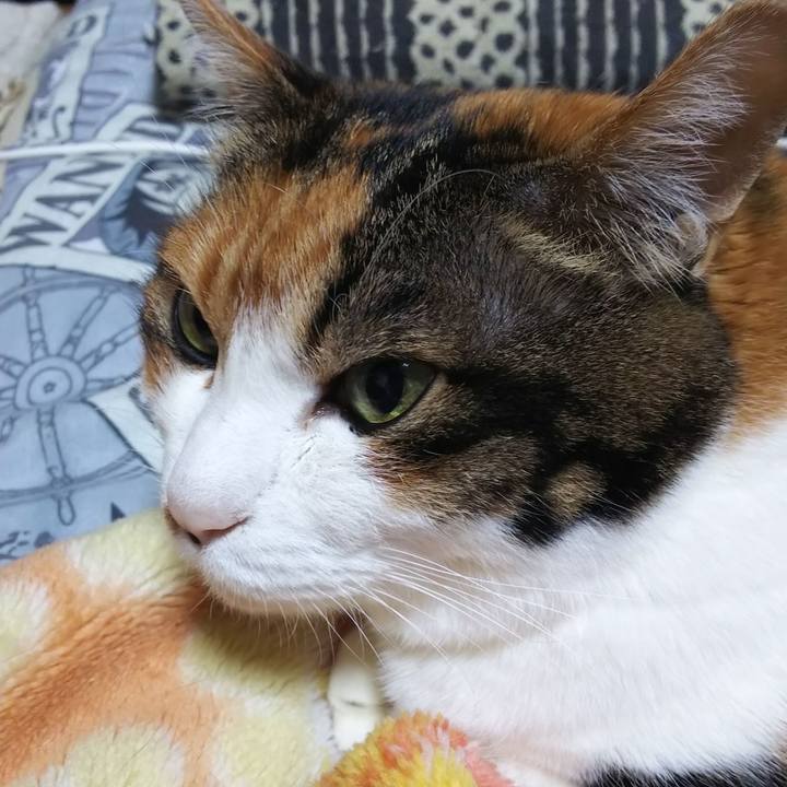 833c995b 05a5 45bb a674 511511199a99 1574031696749