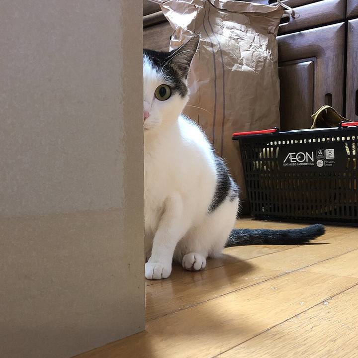 833cf8a3 ec3b 4e7c be14 3e068248d209 1678362686521