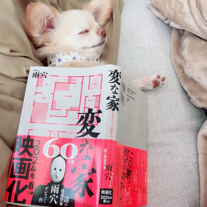 833cfe9d bfe3 4f82 a7e1 b4a323f28055 1690783900690