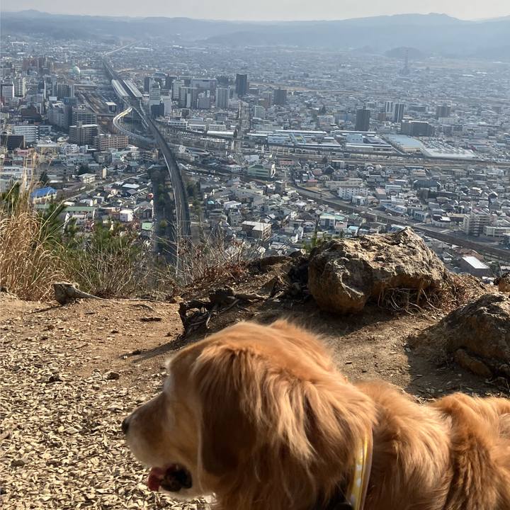 833d7108 be92 4724 8f92 86b2e8b2db0b 1774876590822