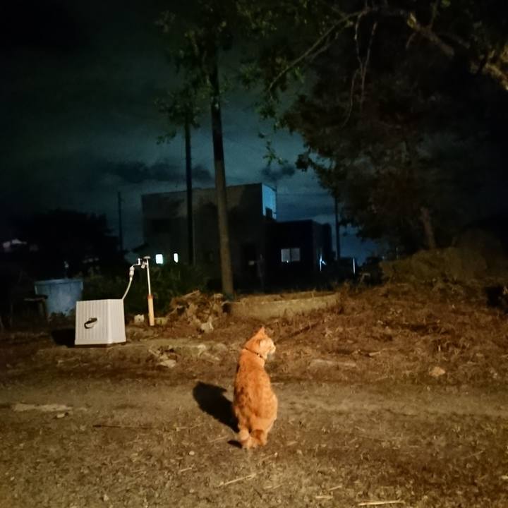 833da0e1 de9b 42b3 88ab 8d2c701aebde 1659440271462