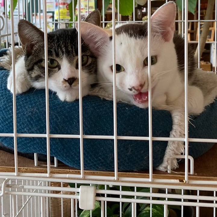 833dc4e0 1e26 4d77 8b05 90fcfad75e65 1694758595663