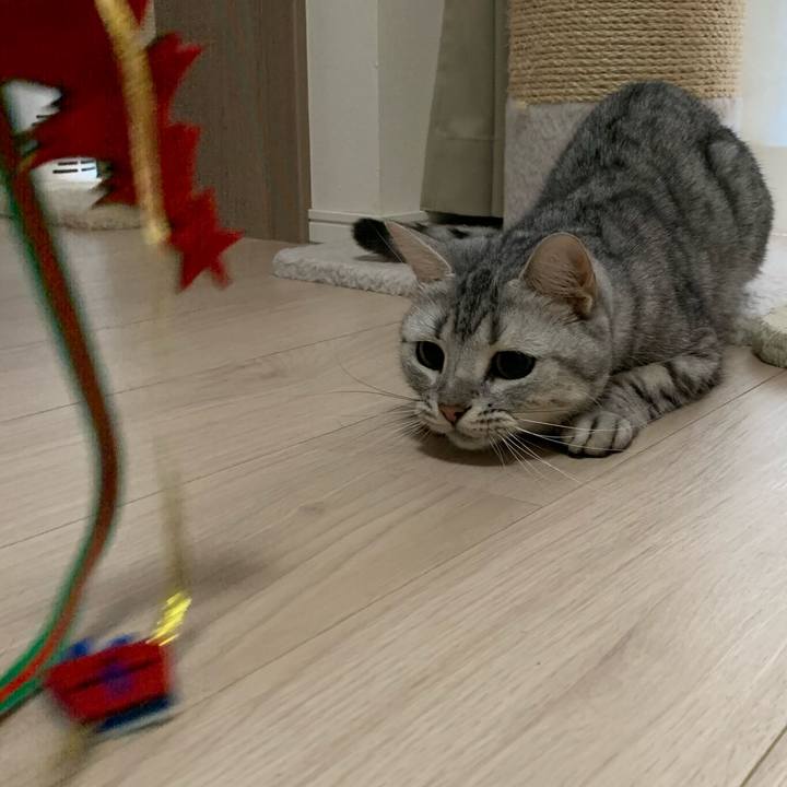 833dd6b6 fb71 4cc8 a0e2 98a6cccc4925 1577417865160