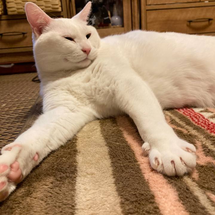 833e05a9 4891 47af 8a2a 04ec6bb15402 1646826451050