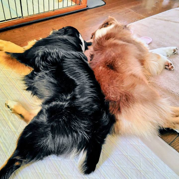 833e1356 581e 41dc 9c9e a2e299e82101 1768648731638