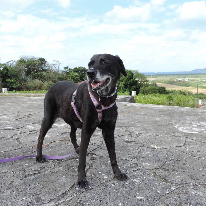 833e1c17 f9a1 4873 bef1 b5ffc4b6d395 1541570846162