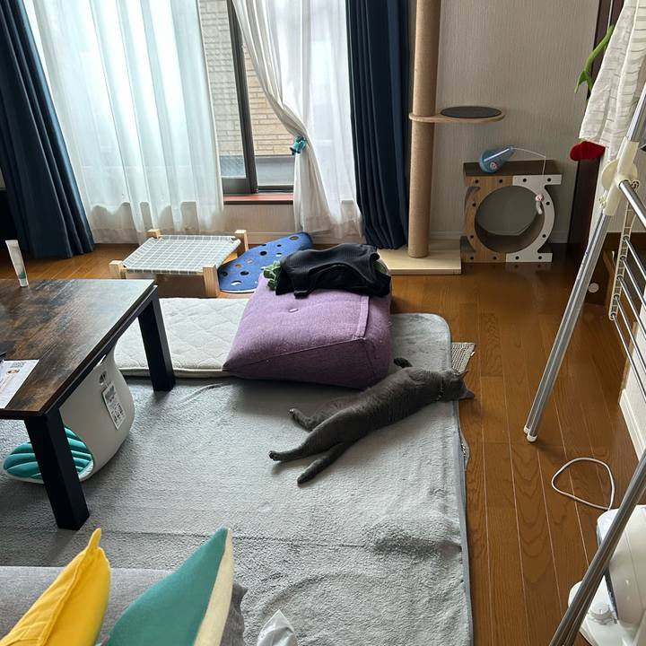 833e2ec8 4ed9 41da 94f8 0539754f6c63 1687745681089