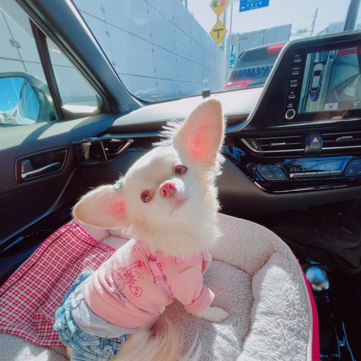 833e84d4 0630 407f bf5d c6f911743e2f 1700371098346