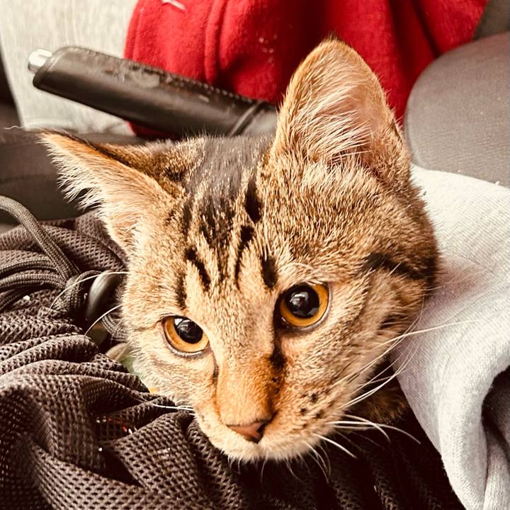 833e93ae 2ae4 4d6c 8827 d56e67e19926 1734223956665