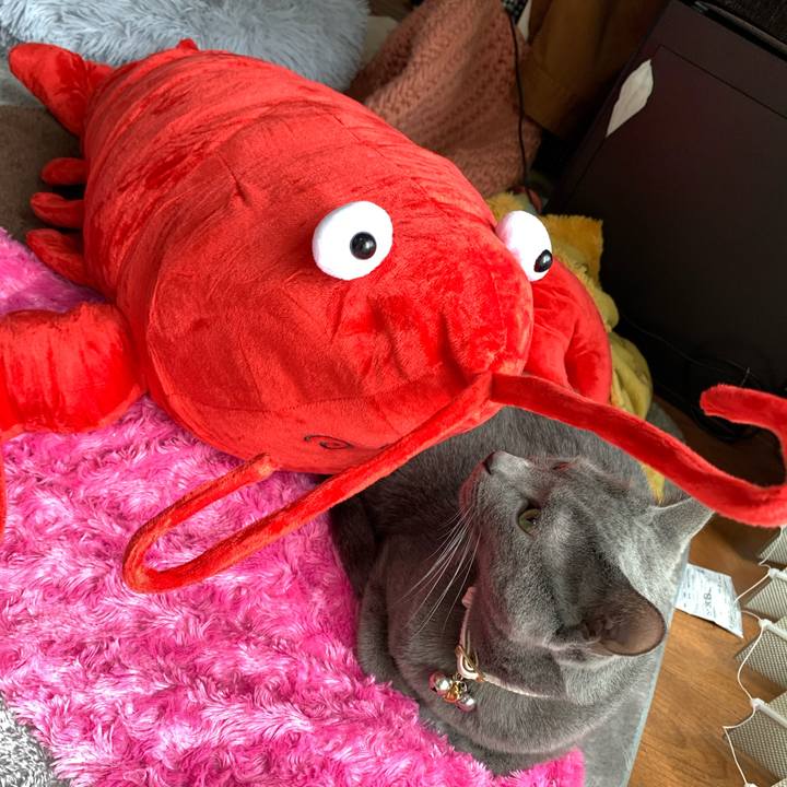 833ea052 1572 455c 98e2 123a62d90cb3 1650441126224