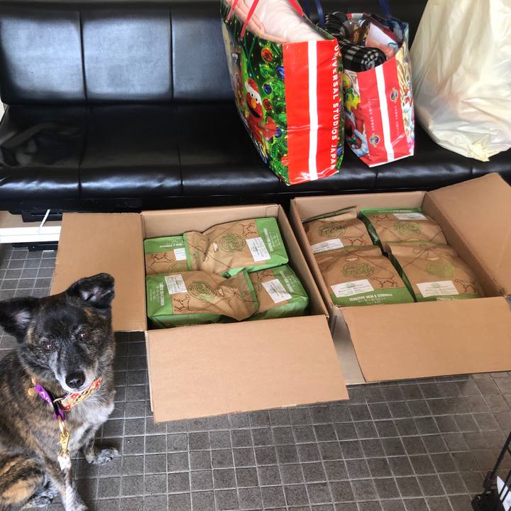 833ea30a a804 4f73 8983 52b173742531 1616761275183