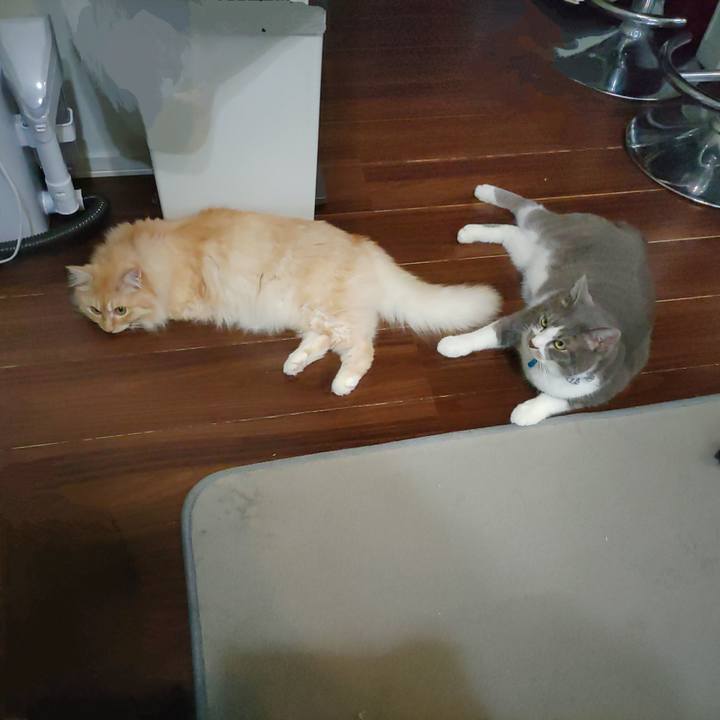 833ee94b 8a1c 45f6 852f 7d0d17bc1648 1722176690904