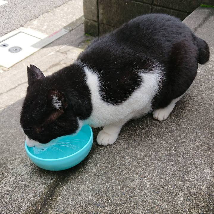 833f033c 0b4d 4a1e b164 4592e115f446 1529811946223