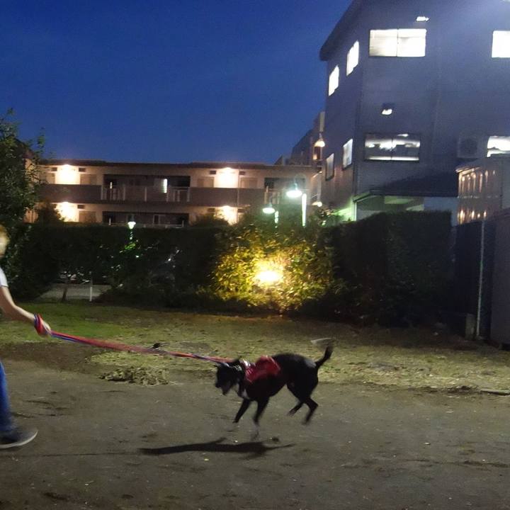 833fb9a0 547c 427e 8527 f800ecdb64fa 1600424310207