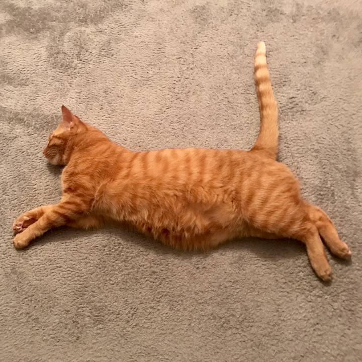 83400bc0 6046 4a13 8069 8a57837d9dfc 1590669988711