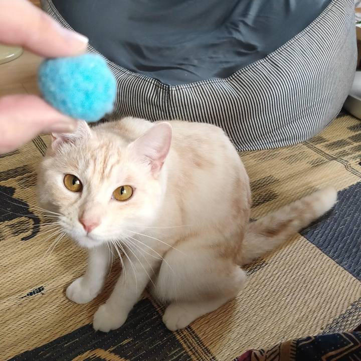 83401a79 6b47 4c86 81fa fbc6a6811376 1661137089850