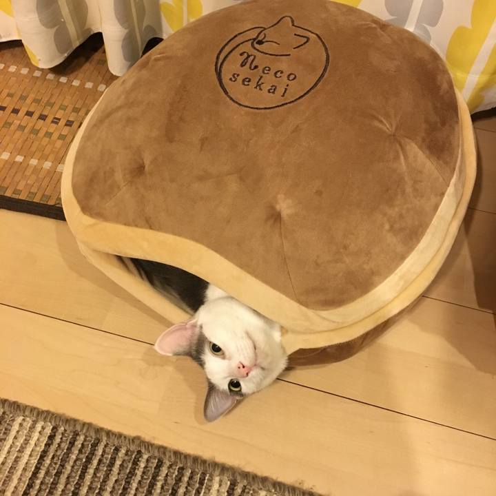 83401d18 8087 4994 96ee 262556a375d8 1514163899791