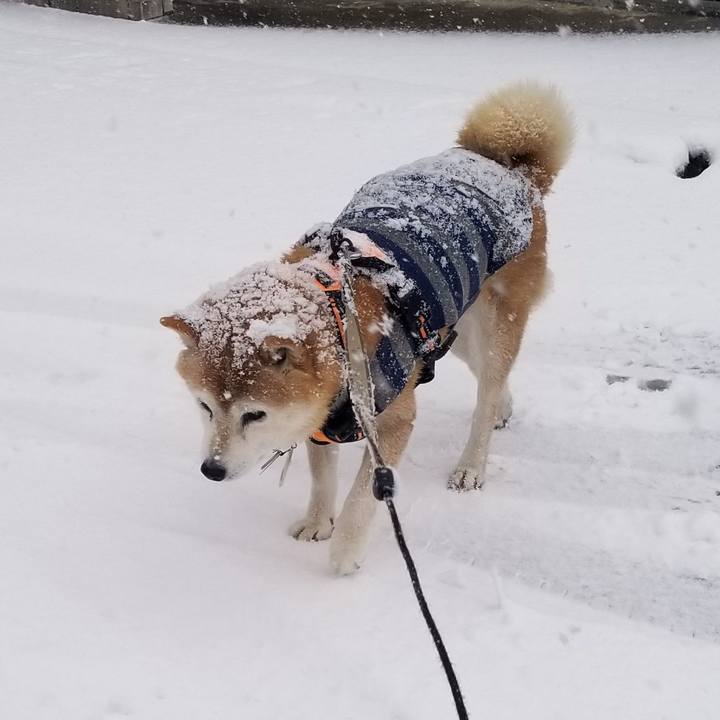 83404174 941b 41a8 8240 e4470bb81d90 1707107020010