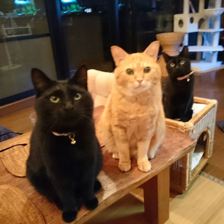 83406c9d 501e 47c8 8411 84d14f8d6df0 1528895942754