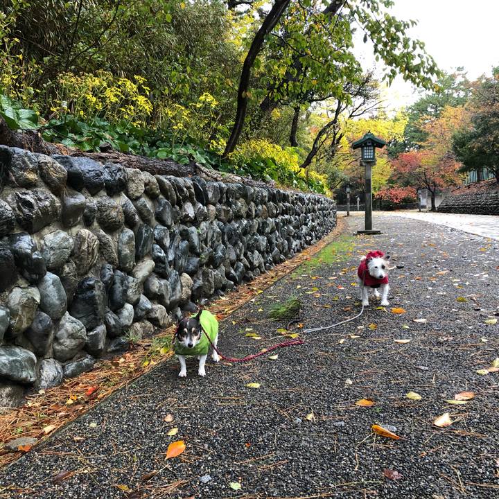 83406fed fc1d 4ffb ac3f c20f5c6dfec9 1573774952567