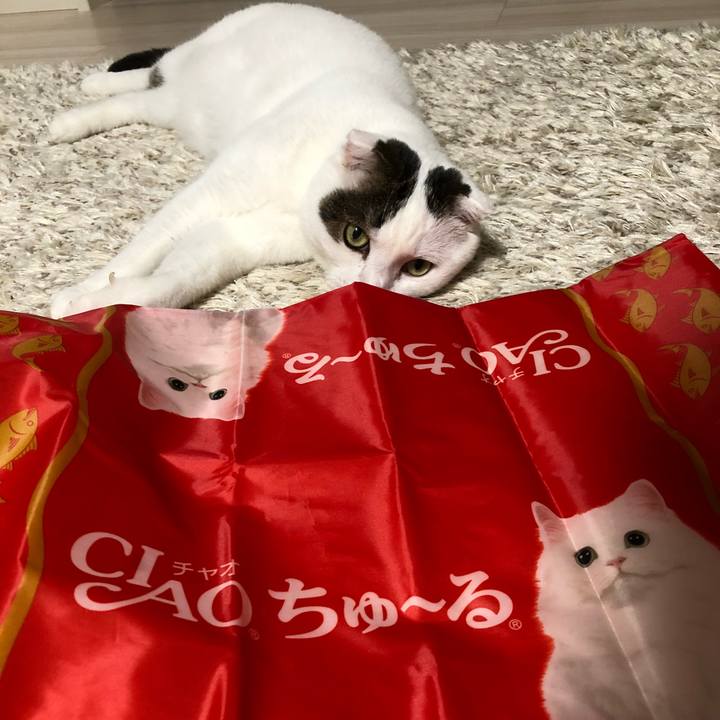 83409d1f 4ee7 4109 ad22 414ceab9d238 1533122332000