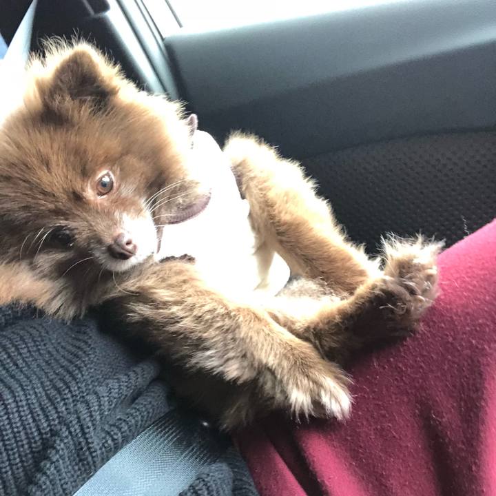 8340a871 ab4e 4529 8cfa 2960ff62a3ba 1542669108524