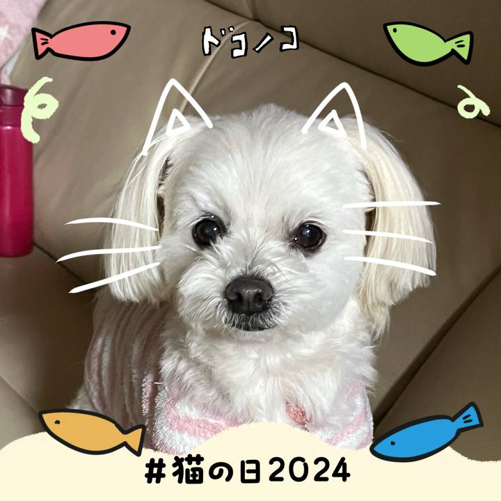 8340cf11 f532 458b b2fc 6e21666fd269 1708557099472