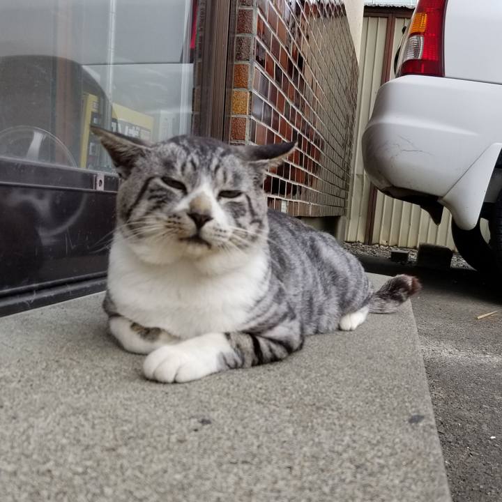 8340d685 5fa0 4264 81b6 12f308fd0d96 1629817560967