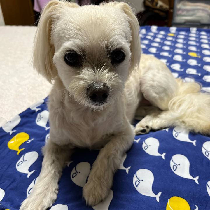 83411b6c 88d4 4add bf45 c7683498cbd9 1684670038426