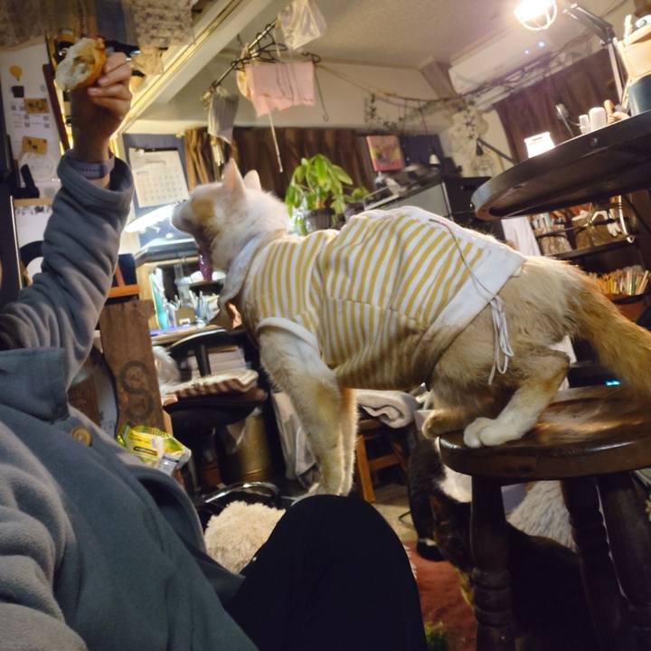 83411e02 9592 46d0 b2e7 29f2c8946603 1768477187557