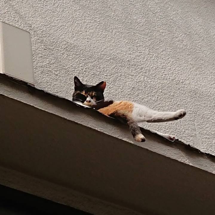 83413743 d83f 4b0a 848e c91446957b1c 1657252326756